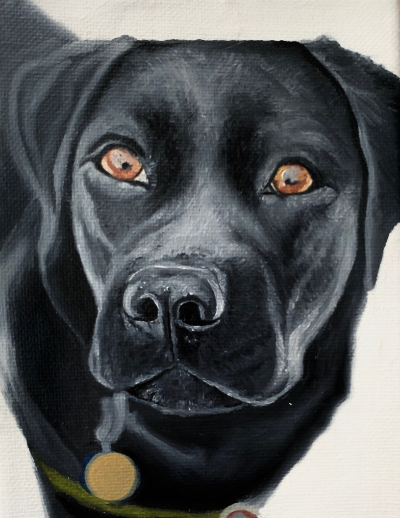 Untitled Design-Sep-11-2020-02-27-05-46-AM